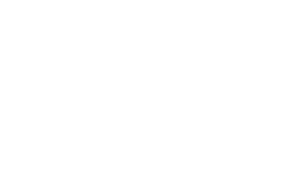 Mister Auto logo