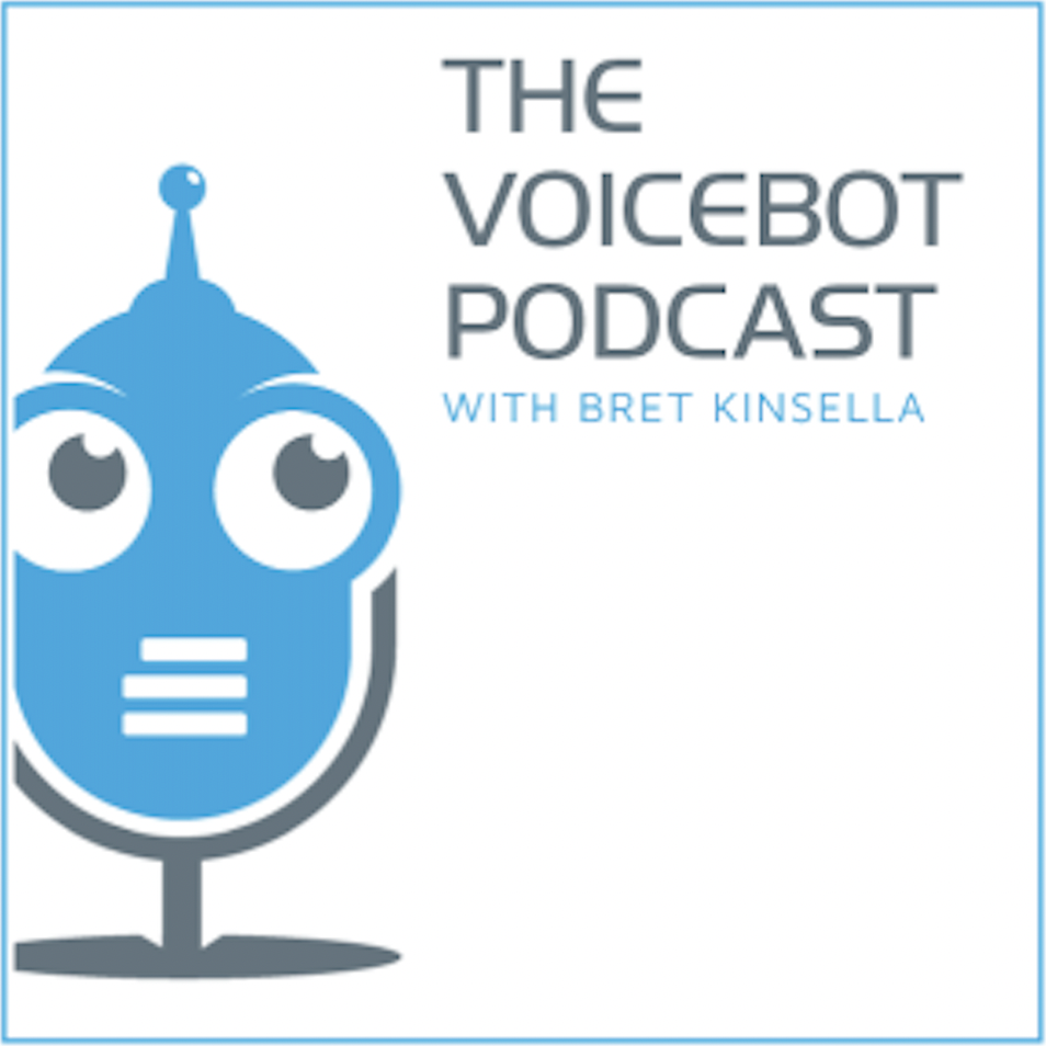 the voice bot podcast